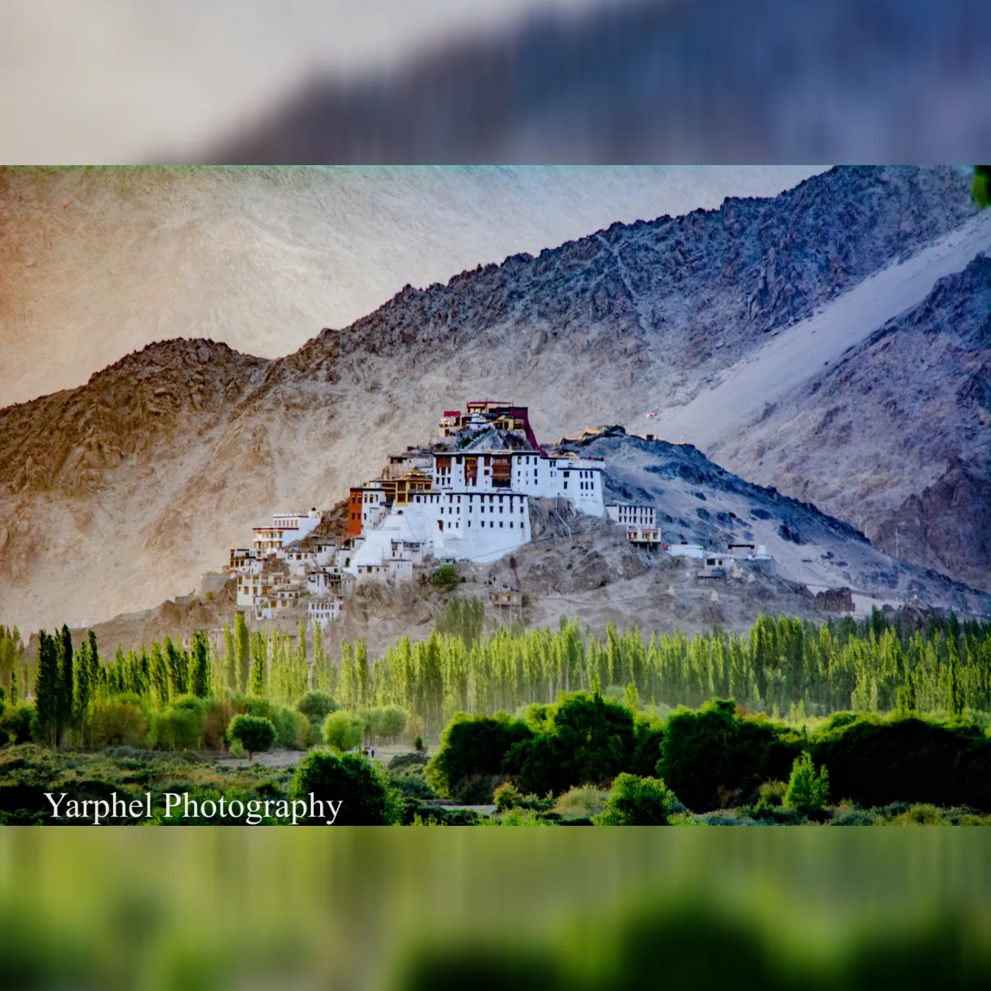 Kashmir